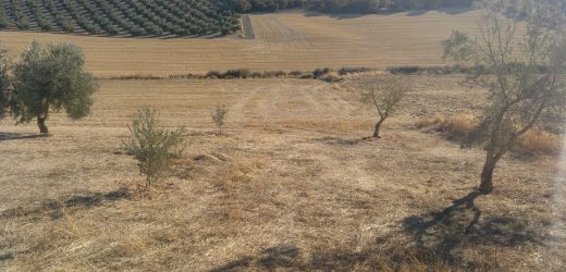 cartograficadelsur_geografia_delimitacion_3